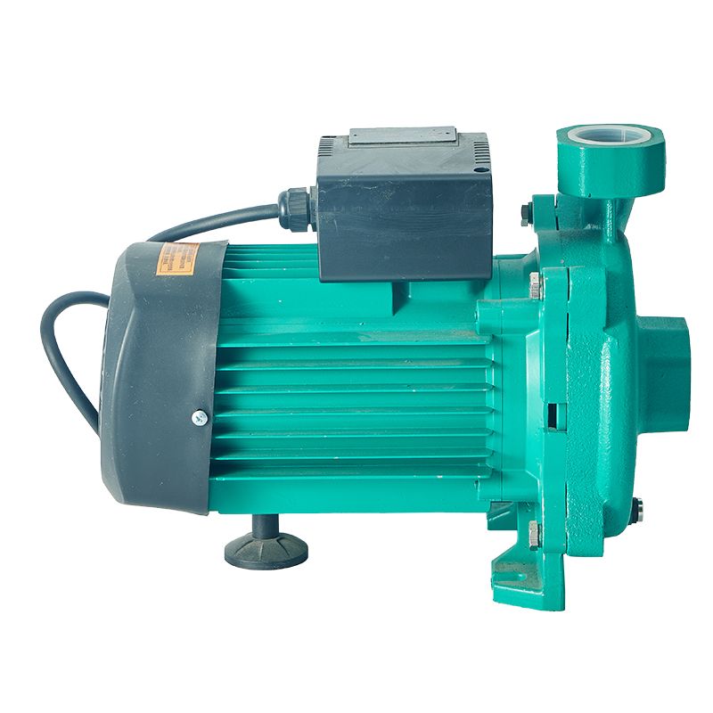 Wholesale 0.5HP 220V 60HZ Heavy Flow Single-Stage Centrifugal Water Pump