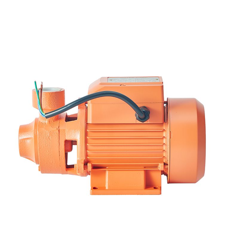 Factory Electric Motor Pumps Peripheral Vortex Pompa Houseuse Pressure Water Pump