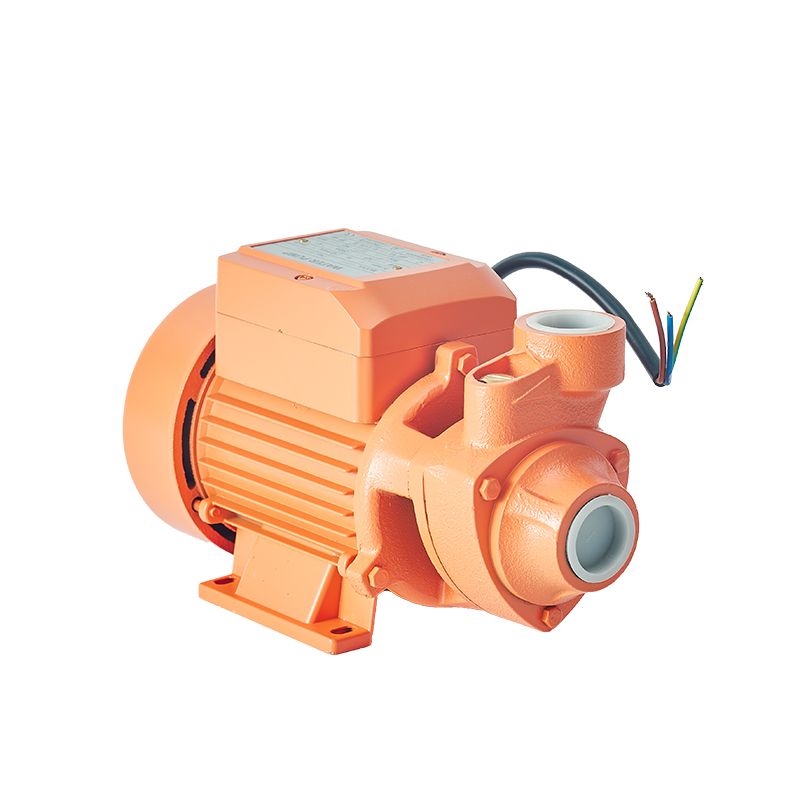 Factory Electric Motor Pumps Peripheral Vortex Pompa Houseuse Pressure Water Pump