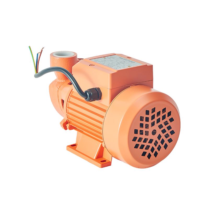 Factory Electric Motor Pumps Peripheral Vortex Pompa Houseuse Pressure Water Pump