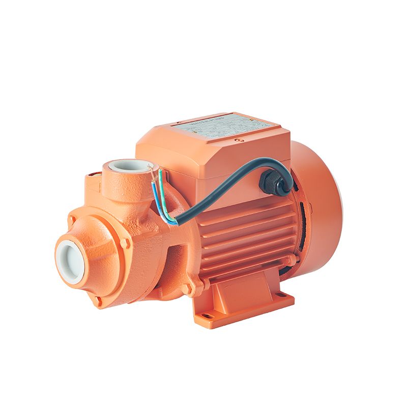 Factory Electric Motor Pumps Peripheral Vortex Pompa Houseuse Pressure Water Pump