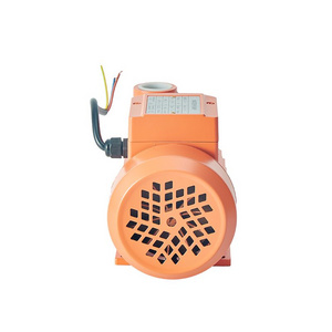 Durable Pedrollo Agriculture Electric Water Motor Clean Waste Water Pump Cast Iron with Copper Motor