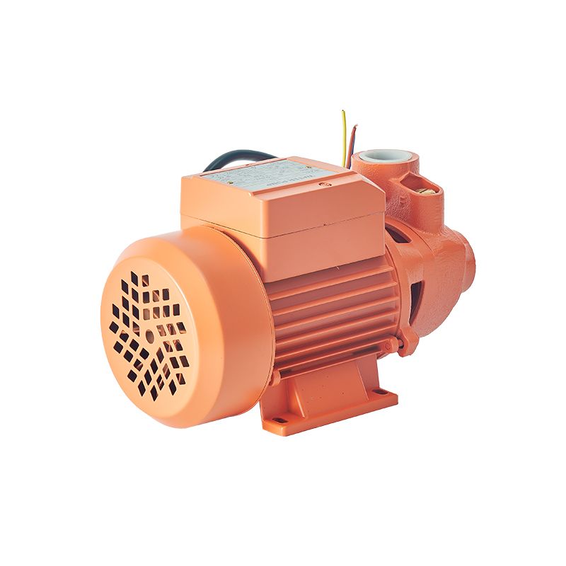 Good Quality Large Capacity House Water Pumb Motor Peripheral Pump Surface Water Pump