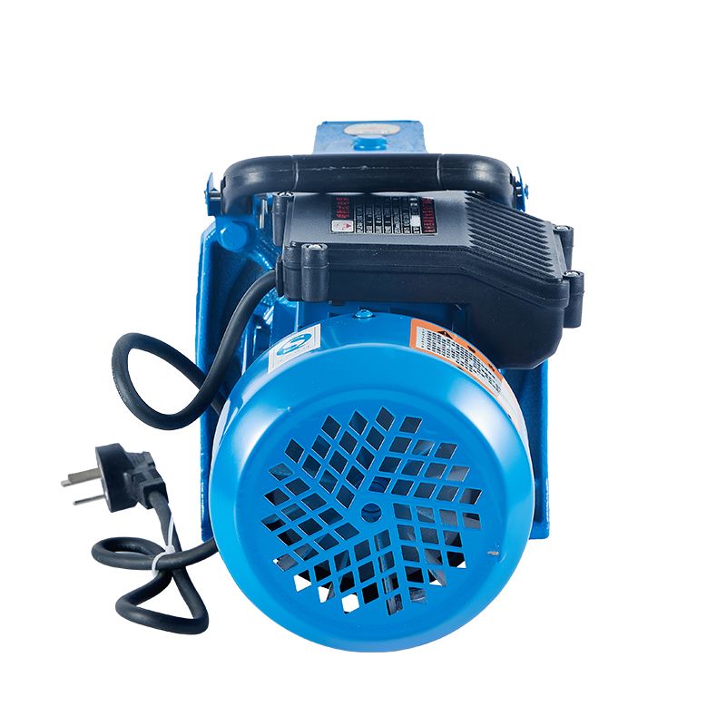 Series Electric 220V Automatic Control Domestic Water Pumps