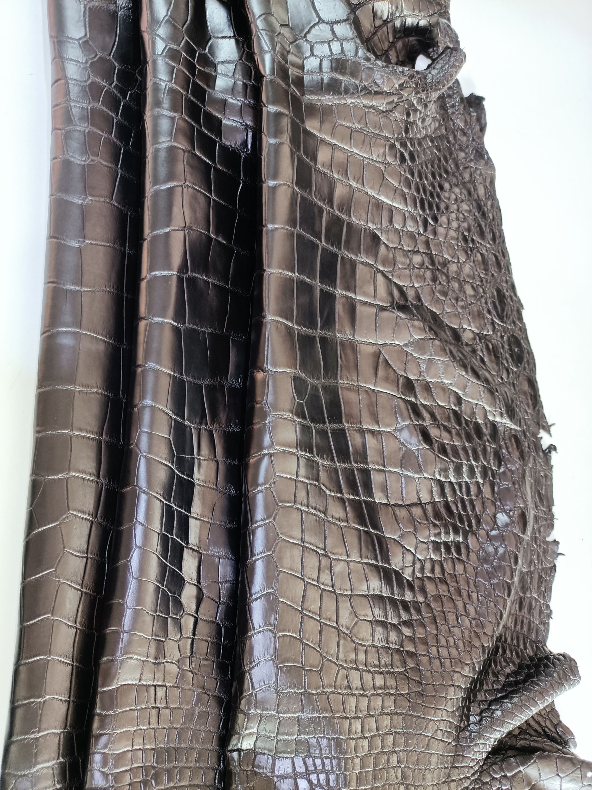 CROCODILE Siamese Crocodile Skin - Black