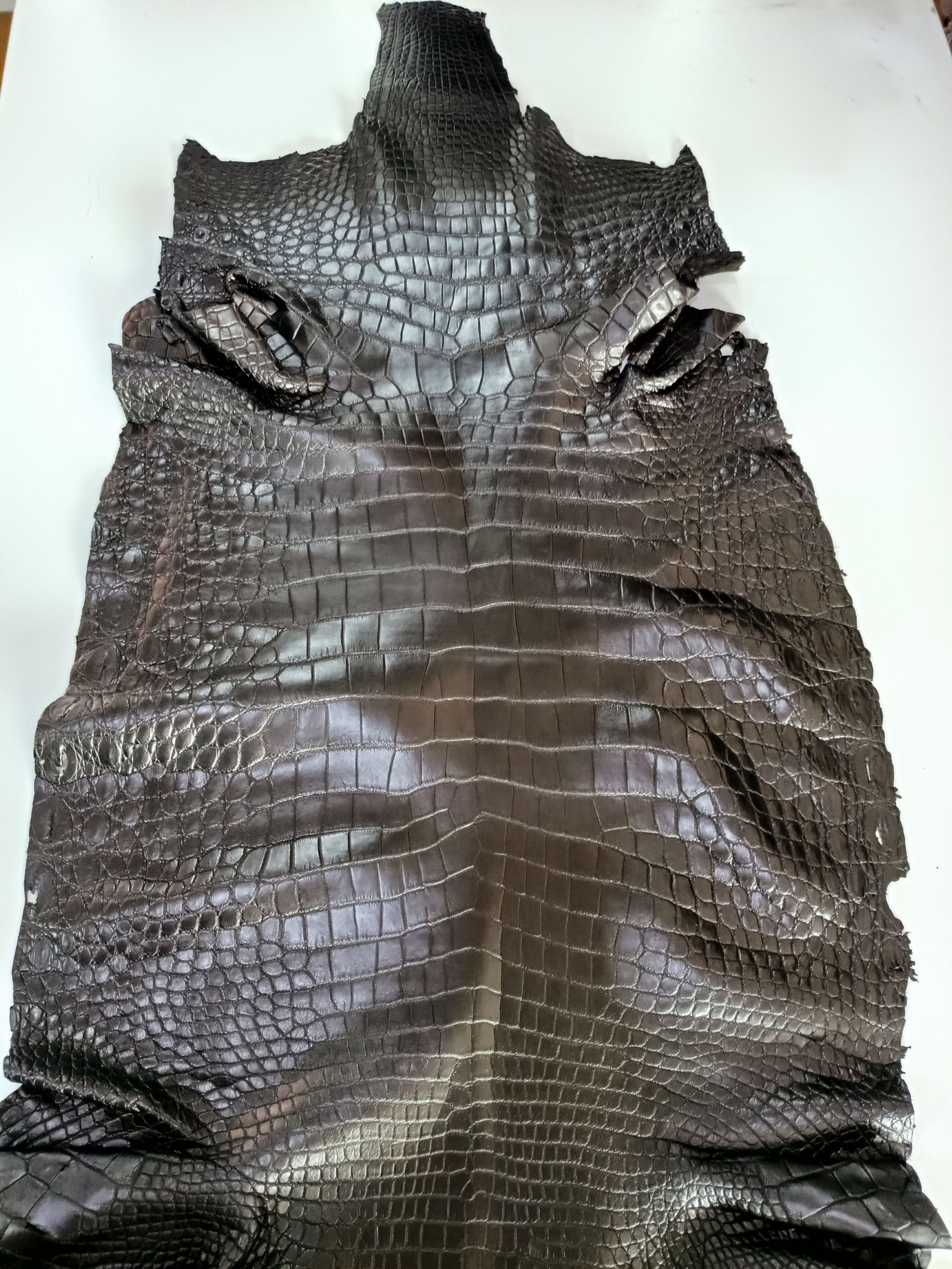 CROCODILE Siamese Crocodile Skin - Black