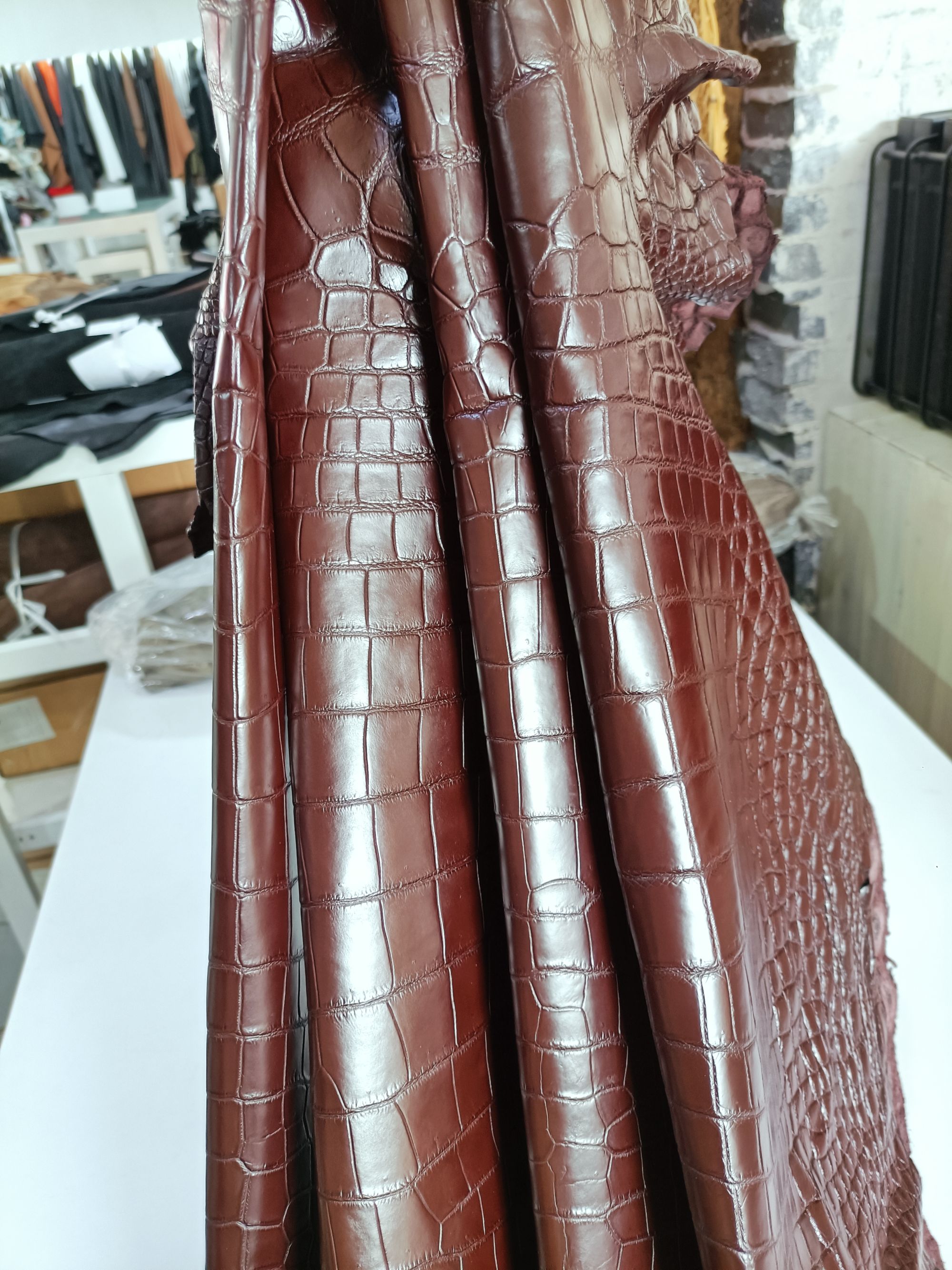 CROCODILE Siamese Crocodile Skin - Red-brown