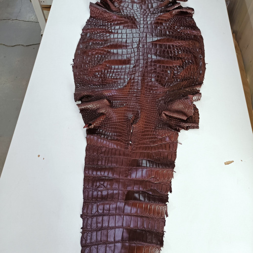 CROCODILE Siamese Crocodile Skin - Red-brown