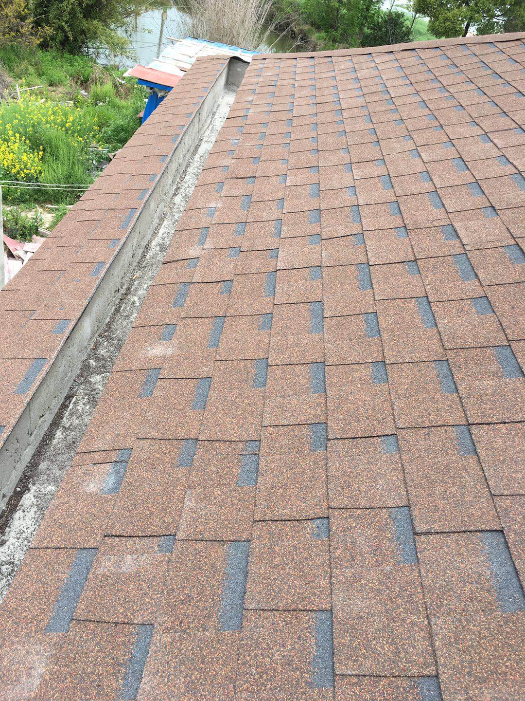 Roofing Shingles Asphalt Roofing Sheet Modern Style Roofing Materials Types Vietname Asphalt Shingle