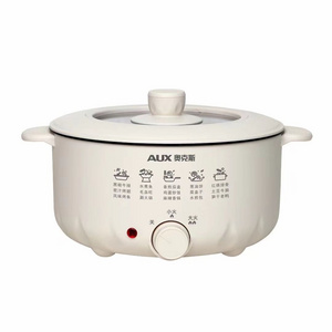 Electric hot pot household electric hot pot large capacity multi-functional all-in-one pot gift wholesale electric hot pot