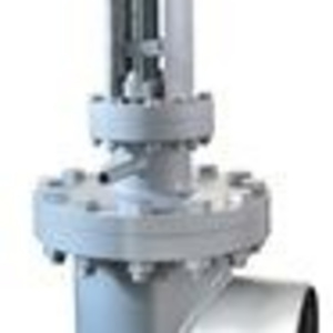 Special Globe Valve for Salt Molten System