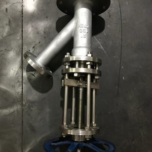 Bottom Drain Valve