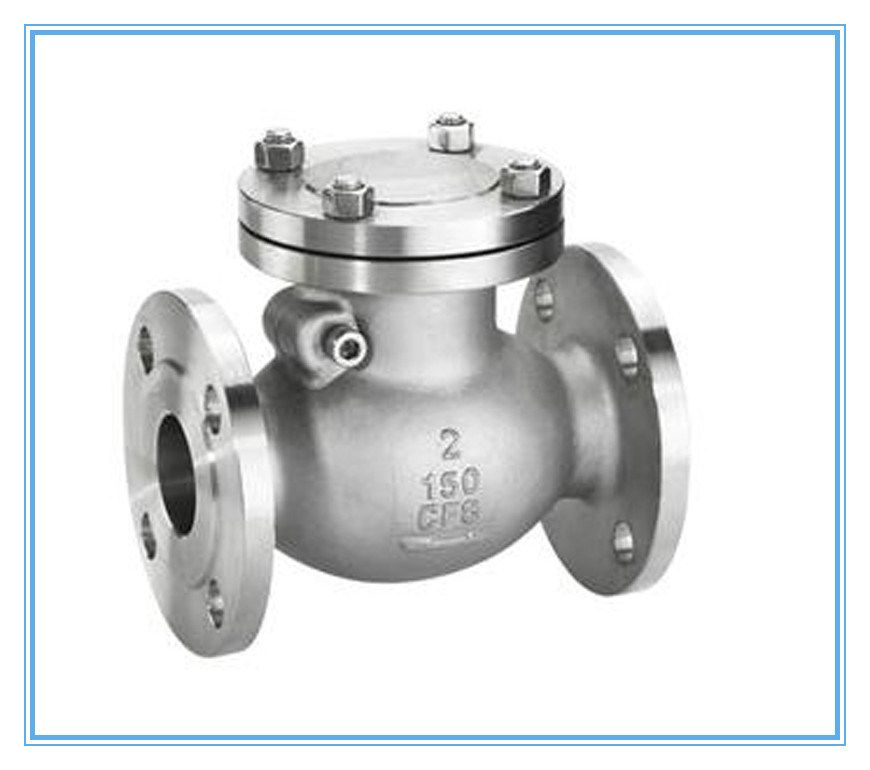 ANSI Stainless Steel Swing Check Valve