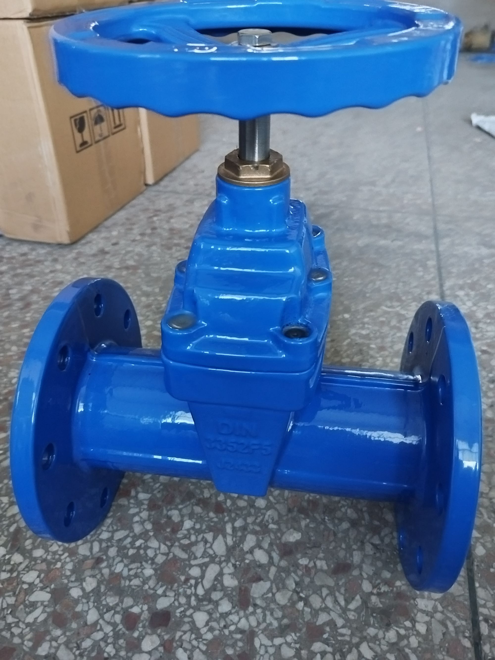 DIN3352 F5 Gate valve