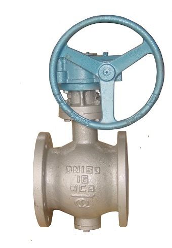 Eccentric Segment Ball Valve