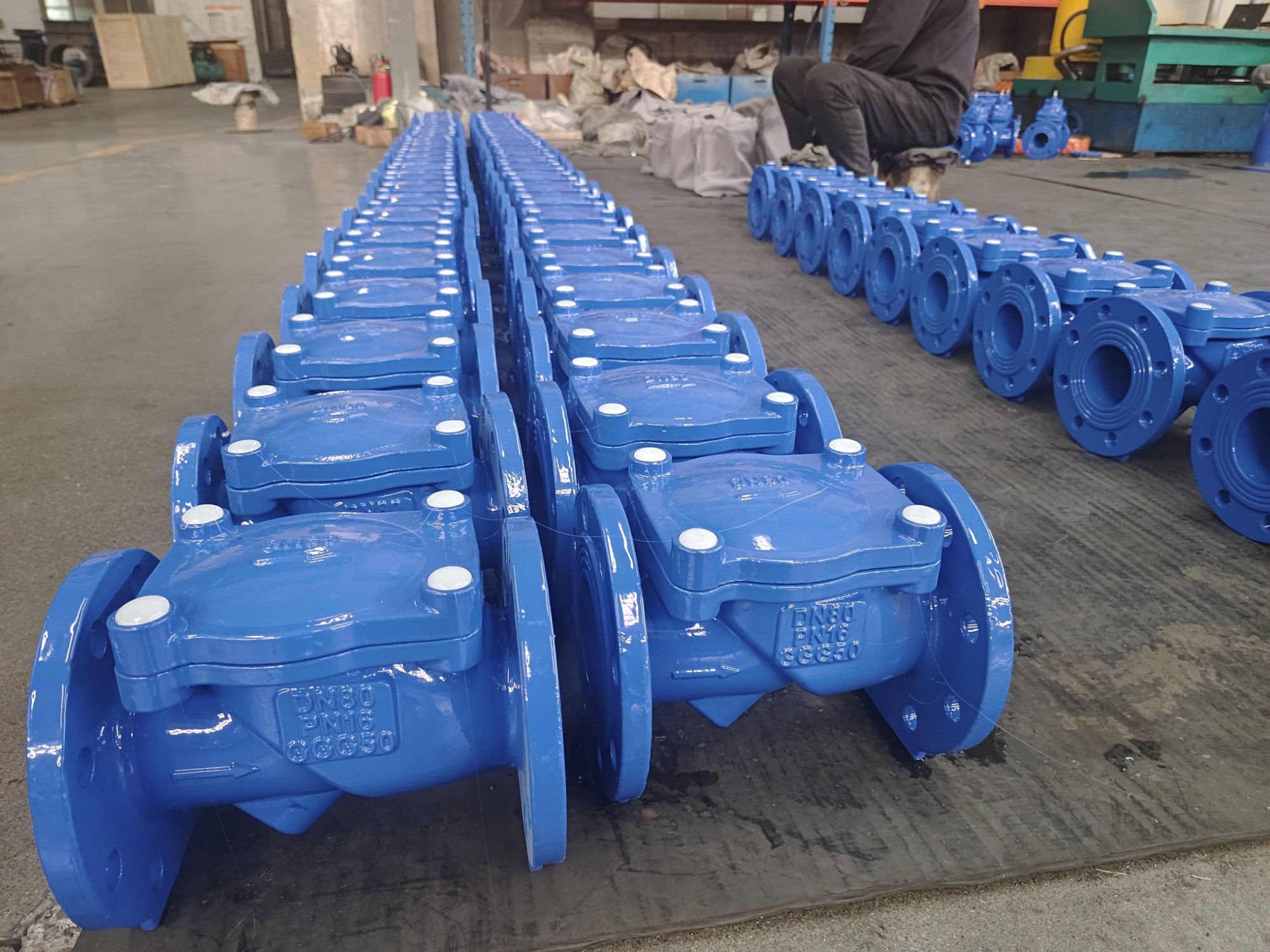 Rubber sealed check valve