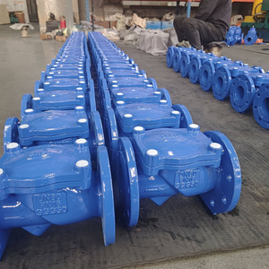 Rubber sealed check valve