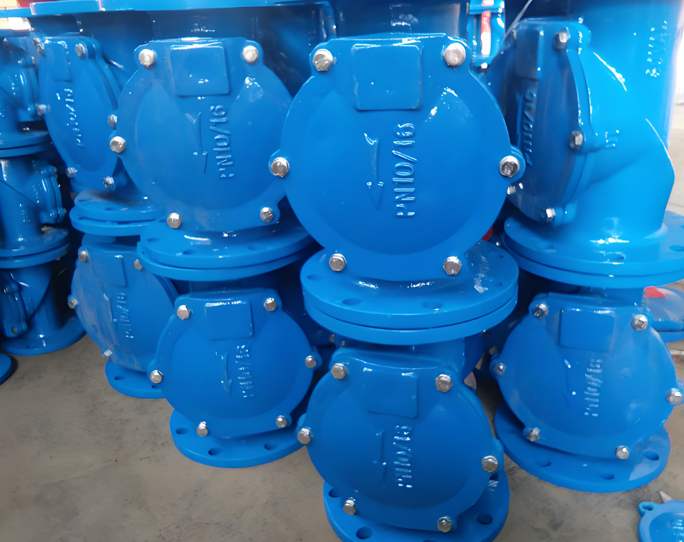 Rubber sealed check valve