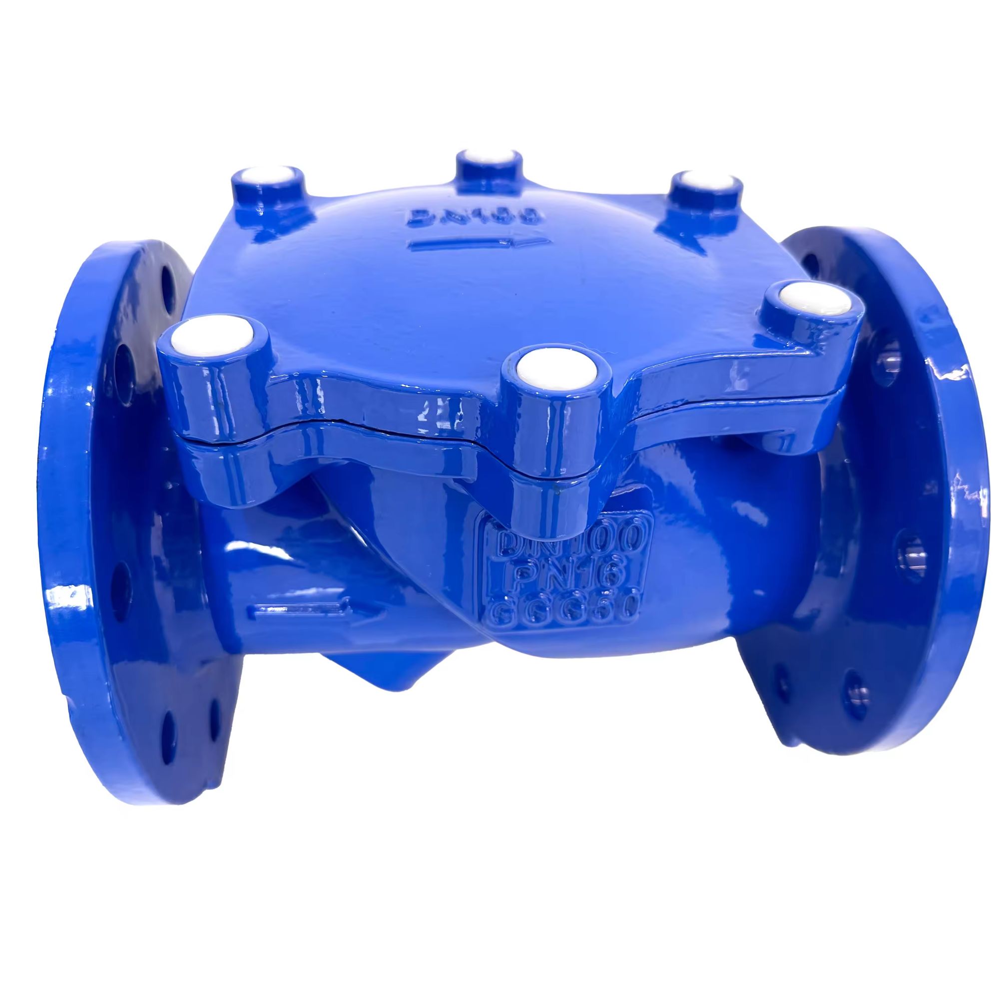 Rubber sealed check valve