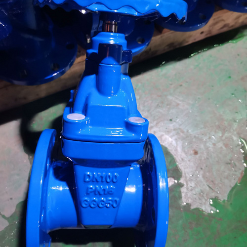 Soft sealed gate valve