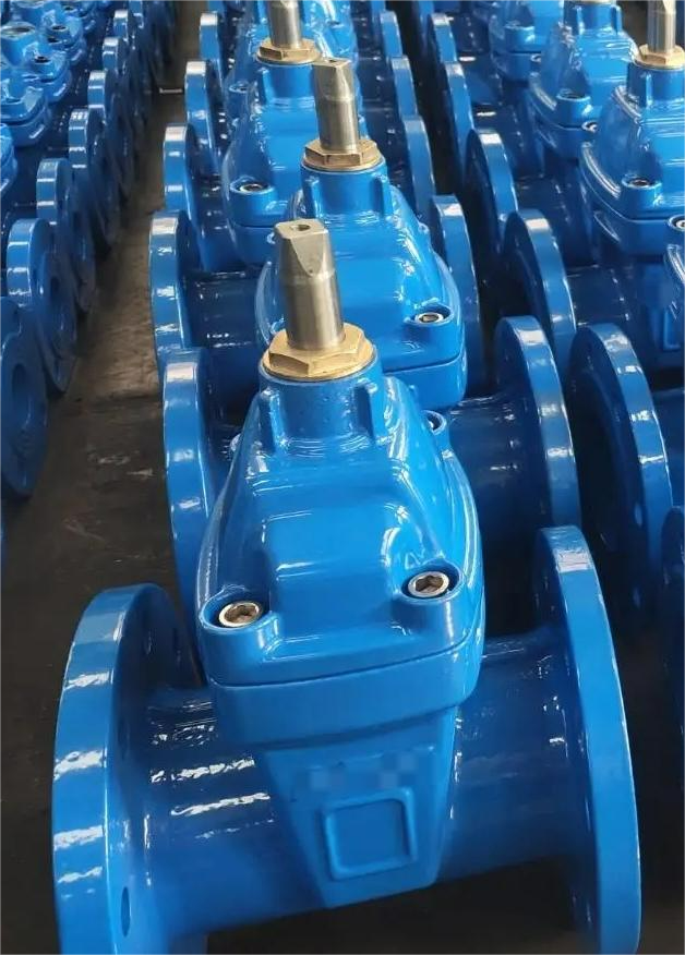 Soft sealed gate valve