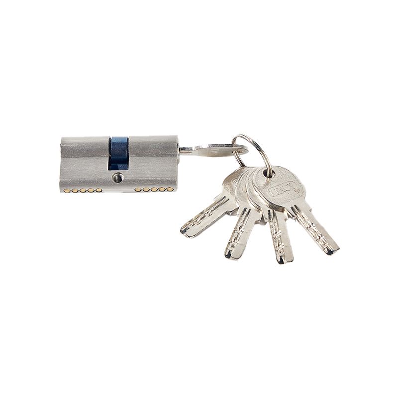 Factory Wholesale Price 70mm Snake Shape Double Open Cylinder Computer Key Door Lock Cylinder