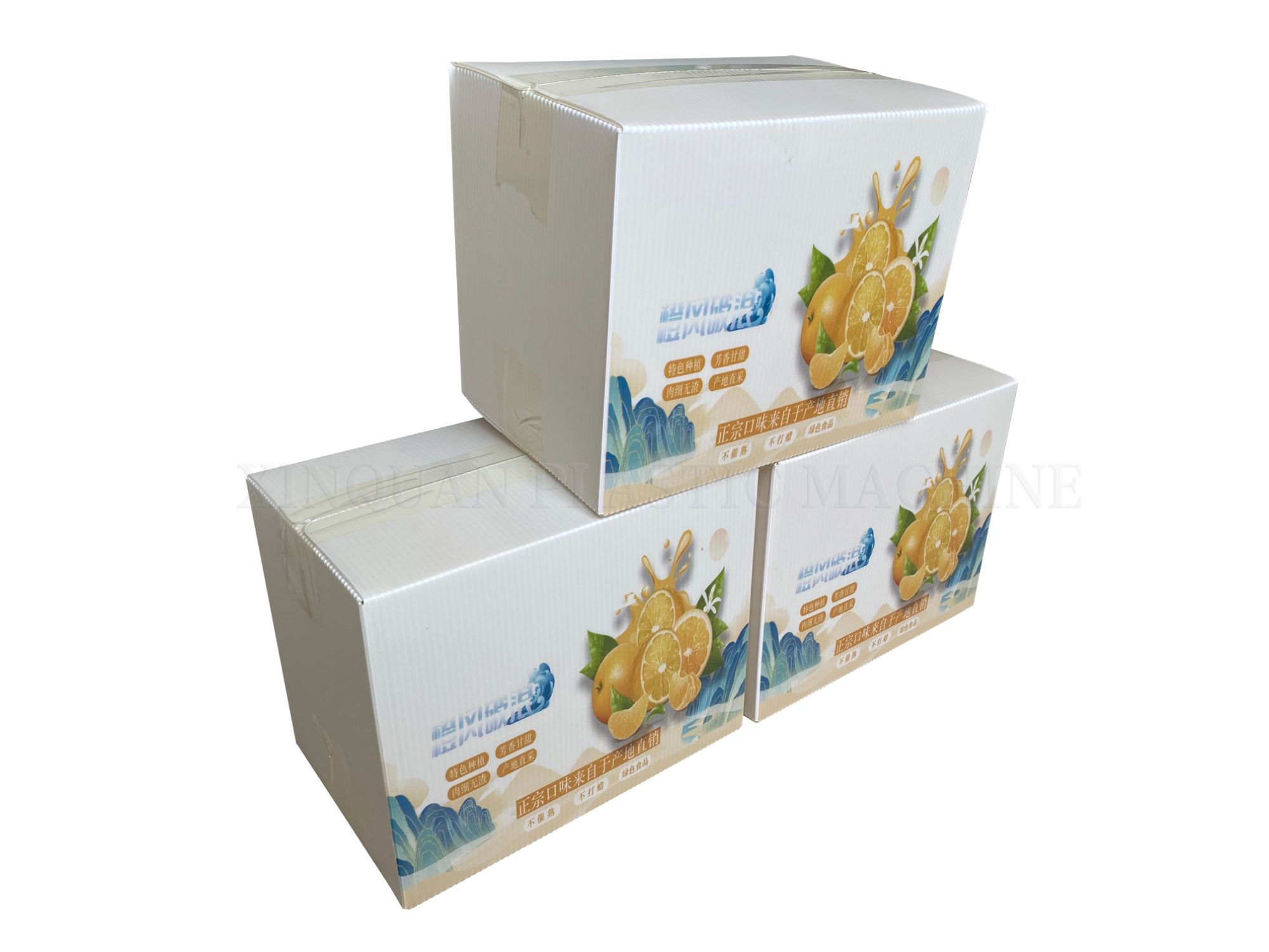 Fruit boxes PP hollow board boxes biodegradable can be customized