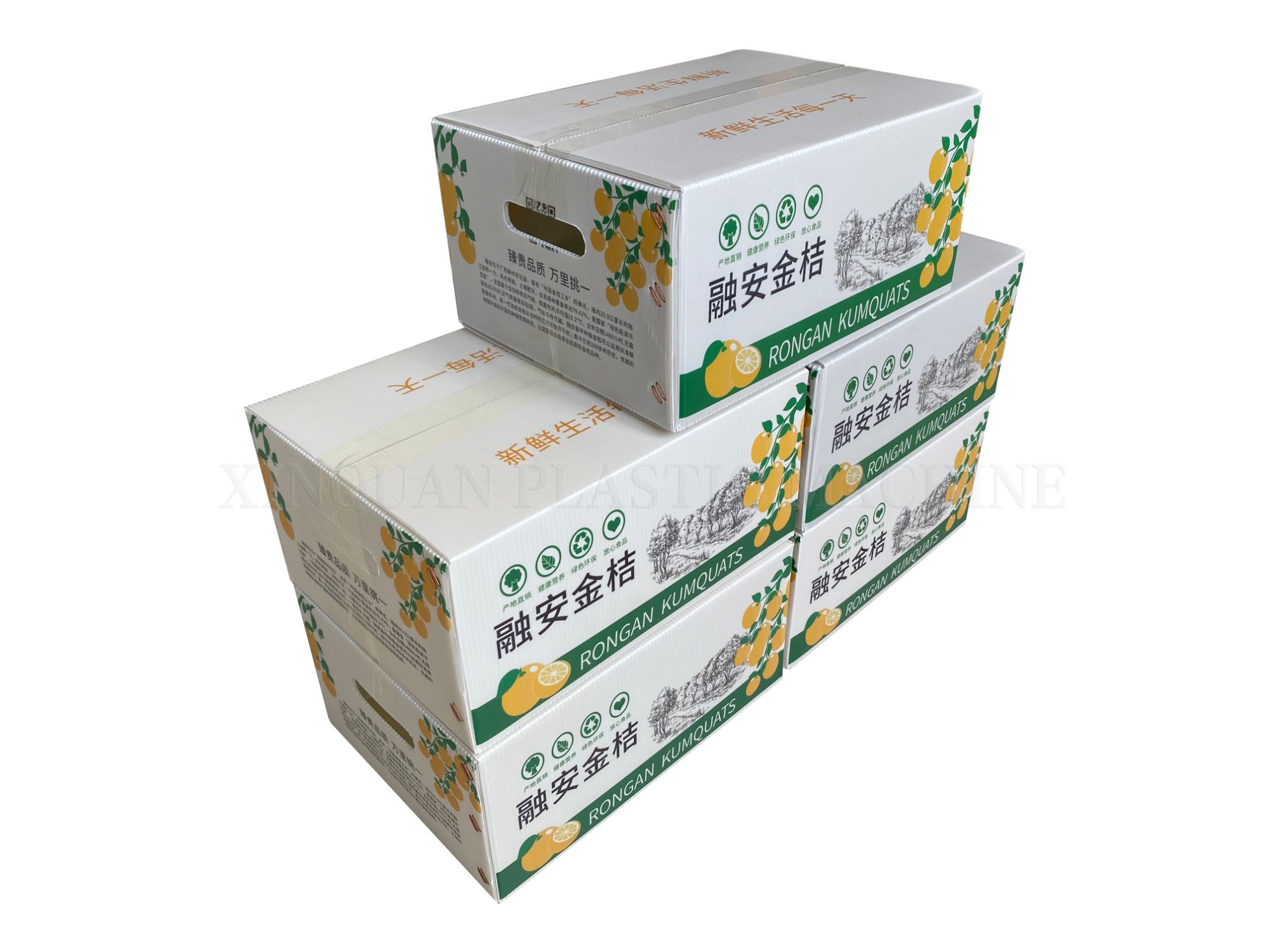 Fruit boxes PP hollow board boxes biodegradable can be customized