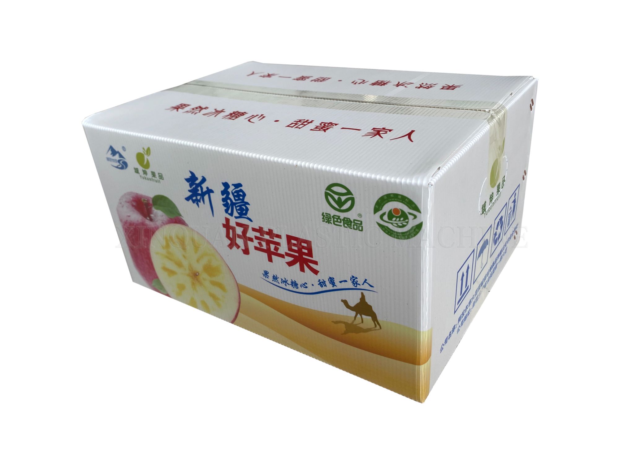 Fruit boxes PP hollow board boxes biodegradable can be customized