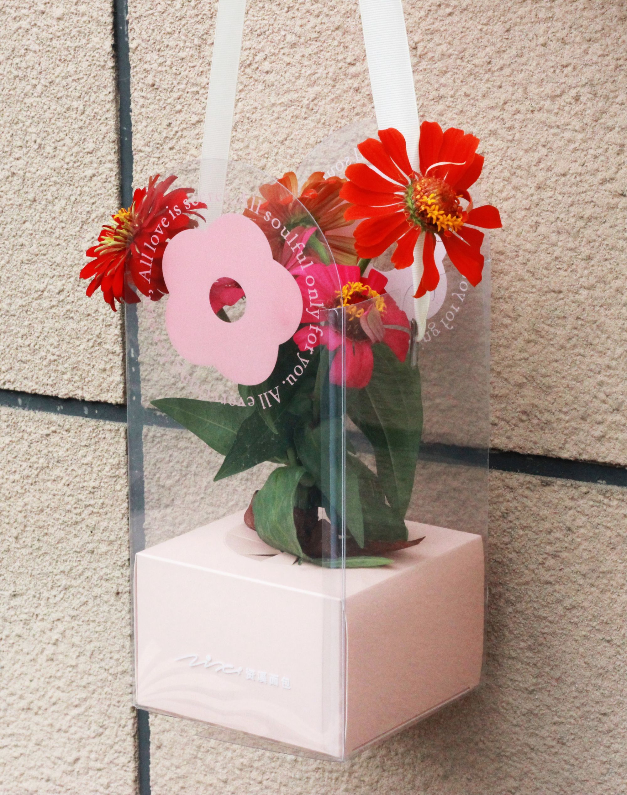 Free Sample High Quality PVC Pink Plastic Gift Box with Insert and Rope for Flowers Cupcakes