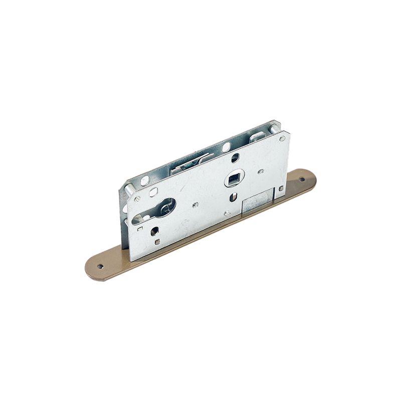 Wholesale Cylinder Stainless Steel Mortise Privacy Door Lock