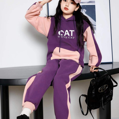 Comfortable and stylish long-sleeved pullover sweatshirt plush hoodie suit suitable for casual wear in autumn and winter 7