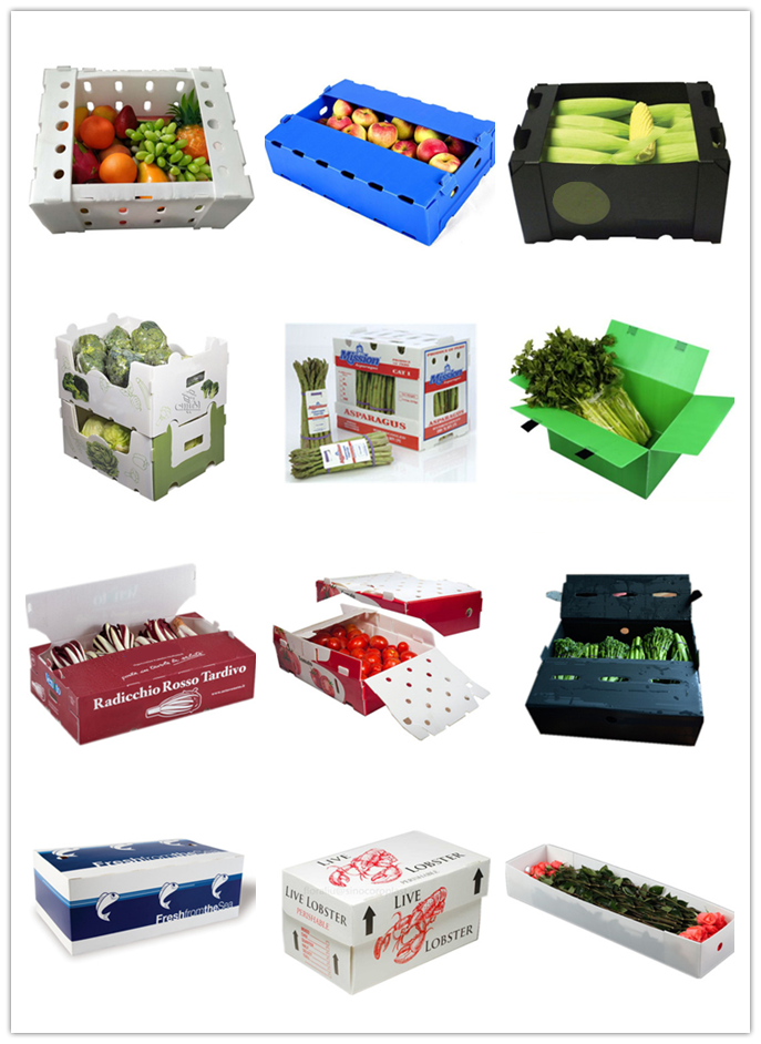 PP can be degradable turnover moisture-proof corrosion-proof packaging box