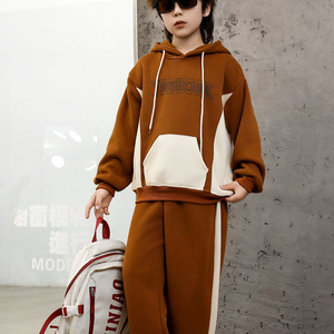 Comfortable and stylish long-sleeved pullover sweatshirt plush hoodie suit suitable for casual wear in autumn and winter 15