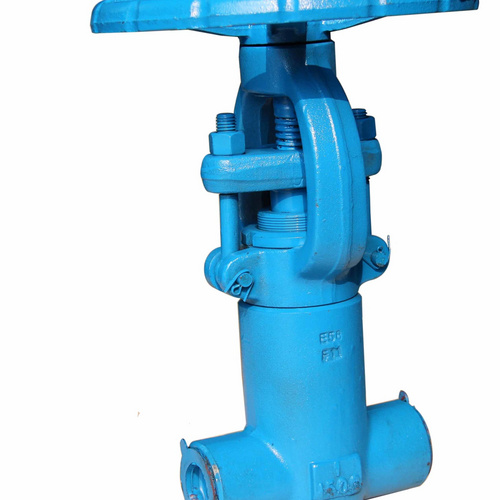 Socket Weld End Gate Valve