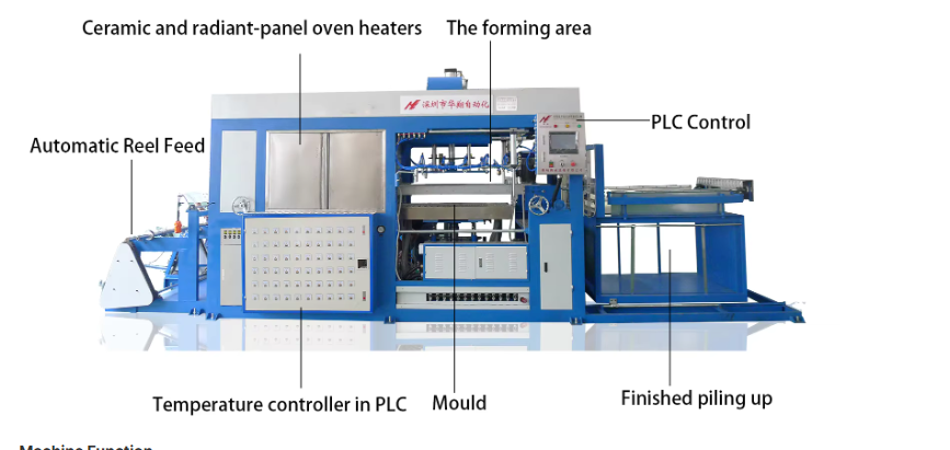 Plastic Thermoforming Vacuum Forming/Molding fruit egg carton tray making machine