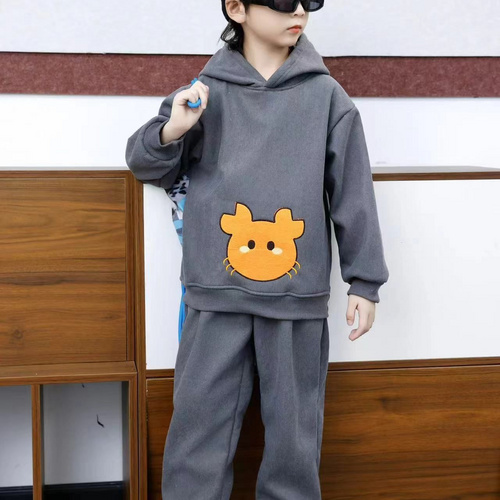 Comfortable and stylish long-sleeved pullover sweatshirt plush hoodie suit suitable for casual wear in autumn and winter 40