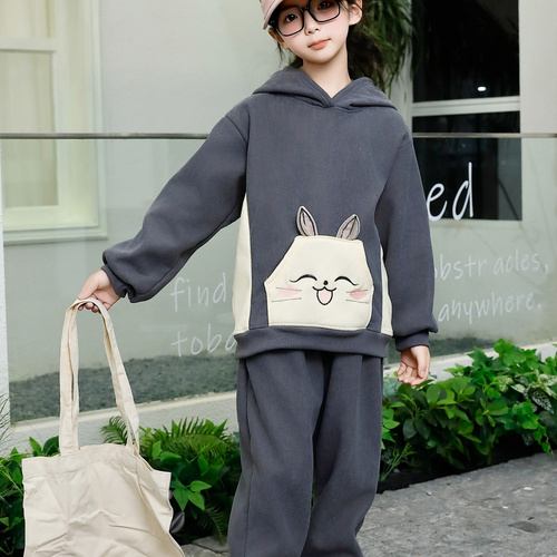 Comfortable and stylish long-sleeved pullover sweatshirt plush hoodie suit suitable for casual wear in autumn and winter 56