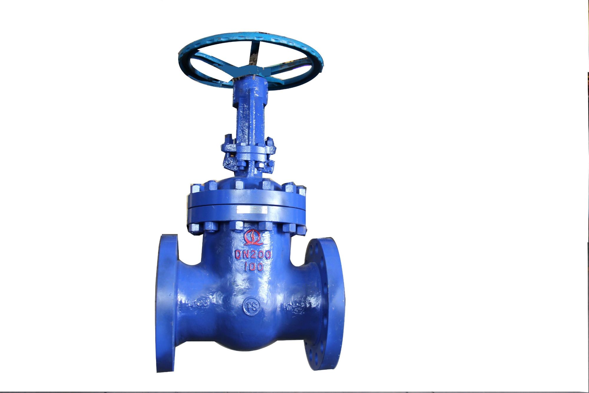 Wedge Gate Valve for Boiler Feedwater and Steam