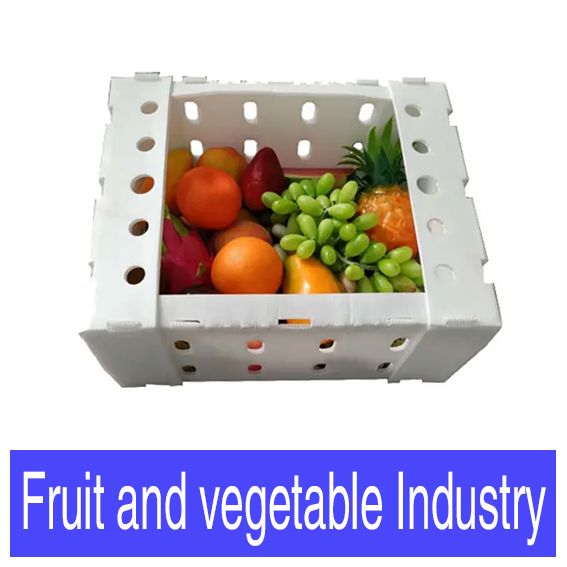 Hollow board fruit vegetable biodegradable turnover box