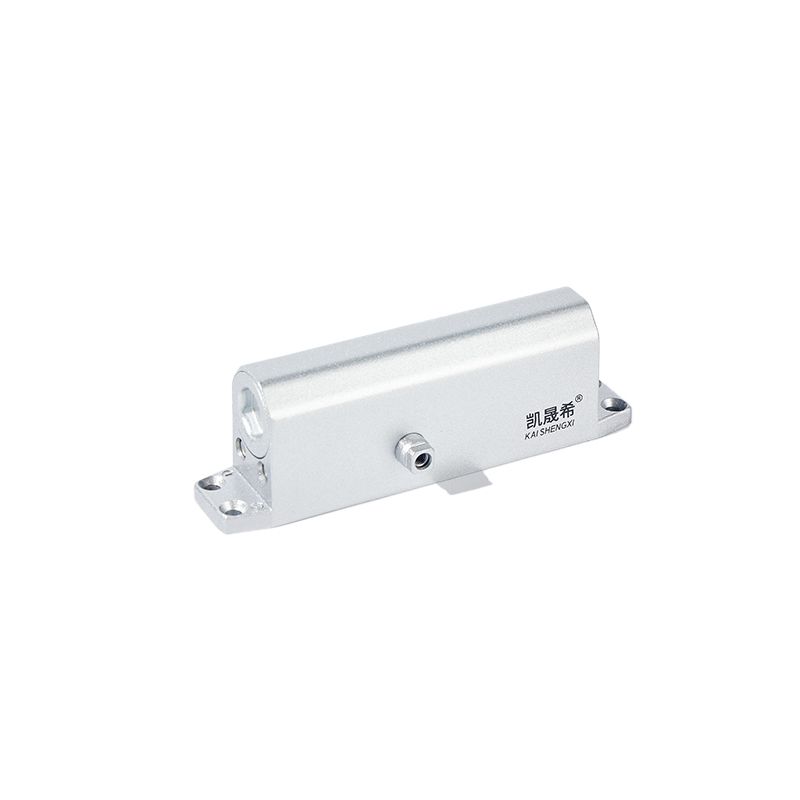 Factory Fireproof Oil Leakage Prevention Aluminium Alloy Heavy Duty Door Closer