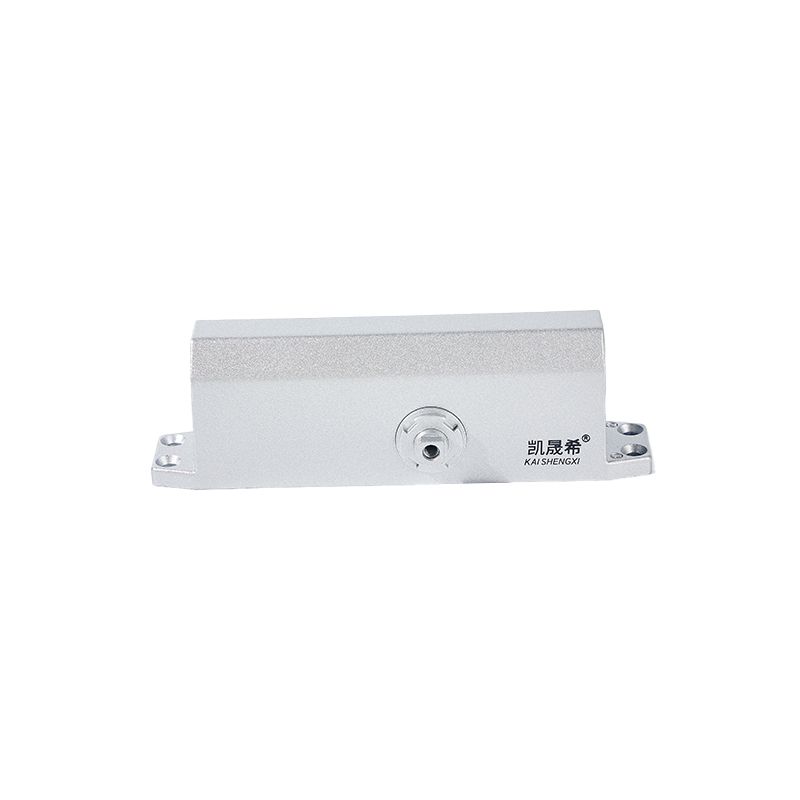 Fire Rate Commercial Standard Automatic Heavy Duty Hydraulic Hidden Door Closer