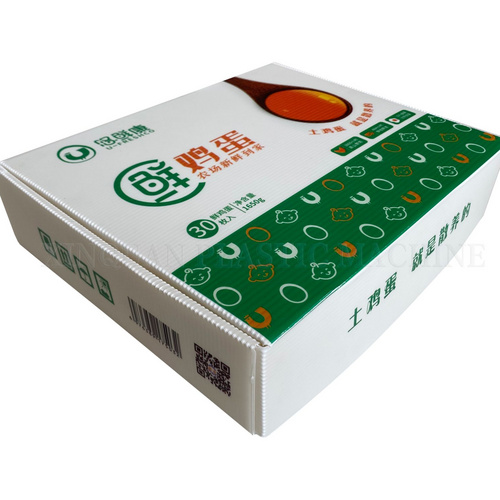 Egg Hollow board environmental turnover aircraft packaging box