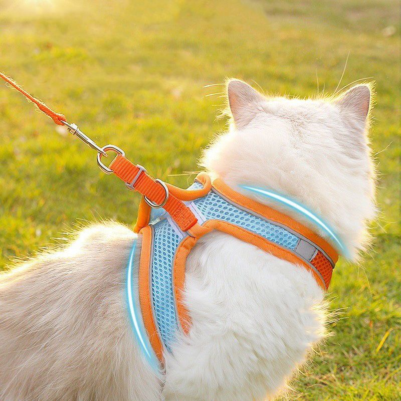 Pet Leash with Sturdy Buckle NonSlip Handle Reflective Strip and Breathable Mesh for Night Safety