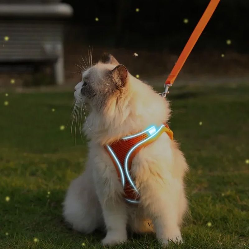 Pet Leash with Sturdy Buckle NonSlip Handle Reflective Strip and Breathable Mesh for Night Safety