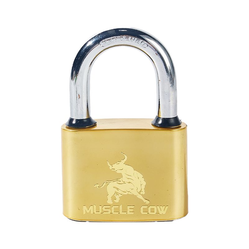 Anti Theft Brass Painted Security Lock Iron Padlock