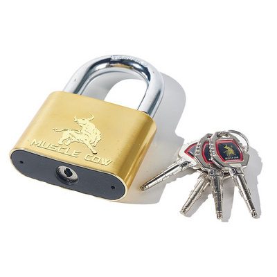 Anti Theft Brass Painted Security Lock Iron Padlock