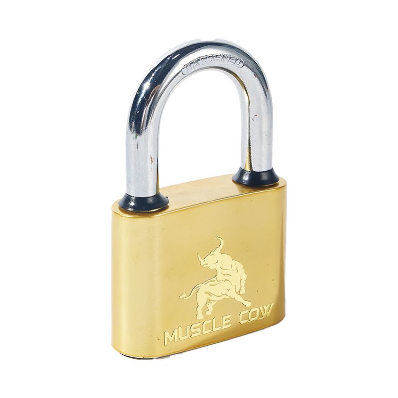 Anti Theft Brass Painted Security Lock Iron Padlock