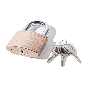 Wholesale Industrial Safety Padlock Various Specifications Good Price Security Imitate brass Iron Padlock