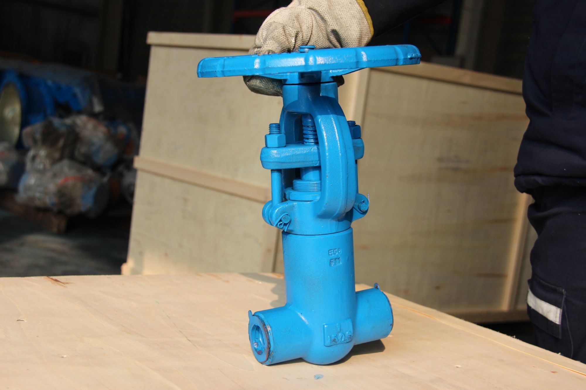 Forged Steel Gate Valve